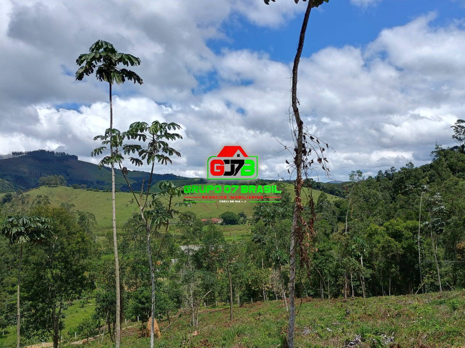 Terreno à venda, 24000m² - Foto 1