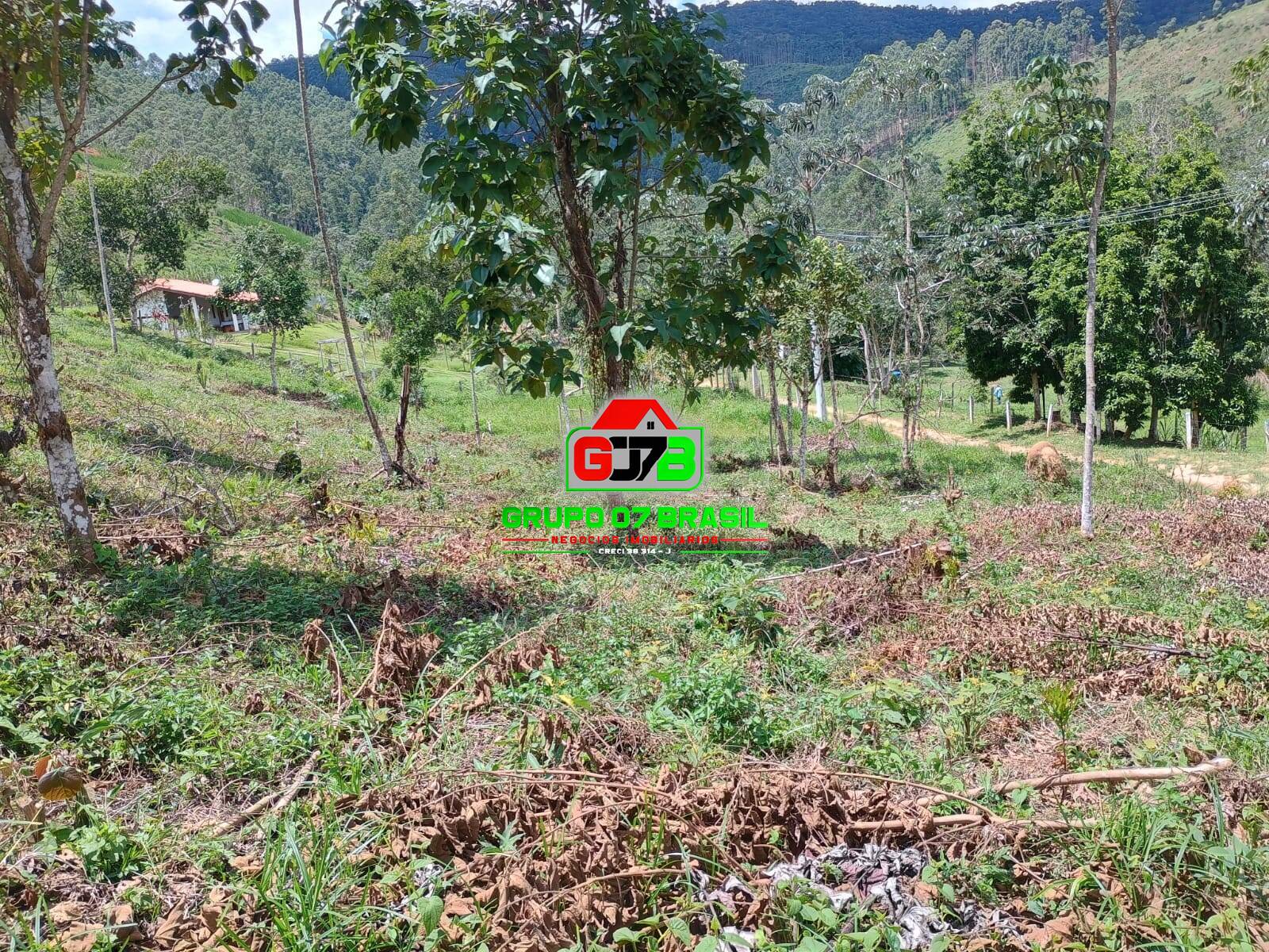 Terreno à venda, 24000m² - Foto 6