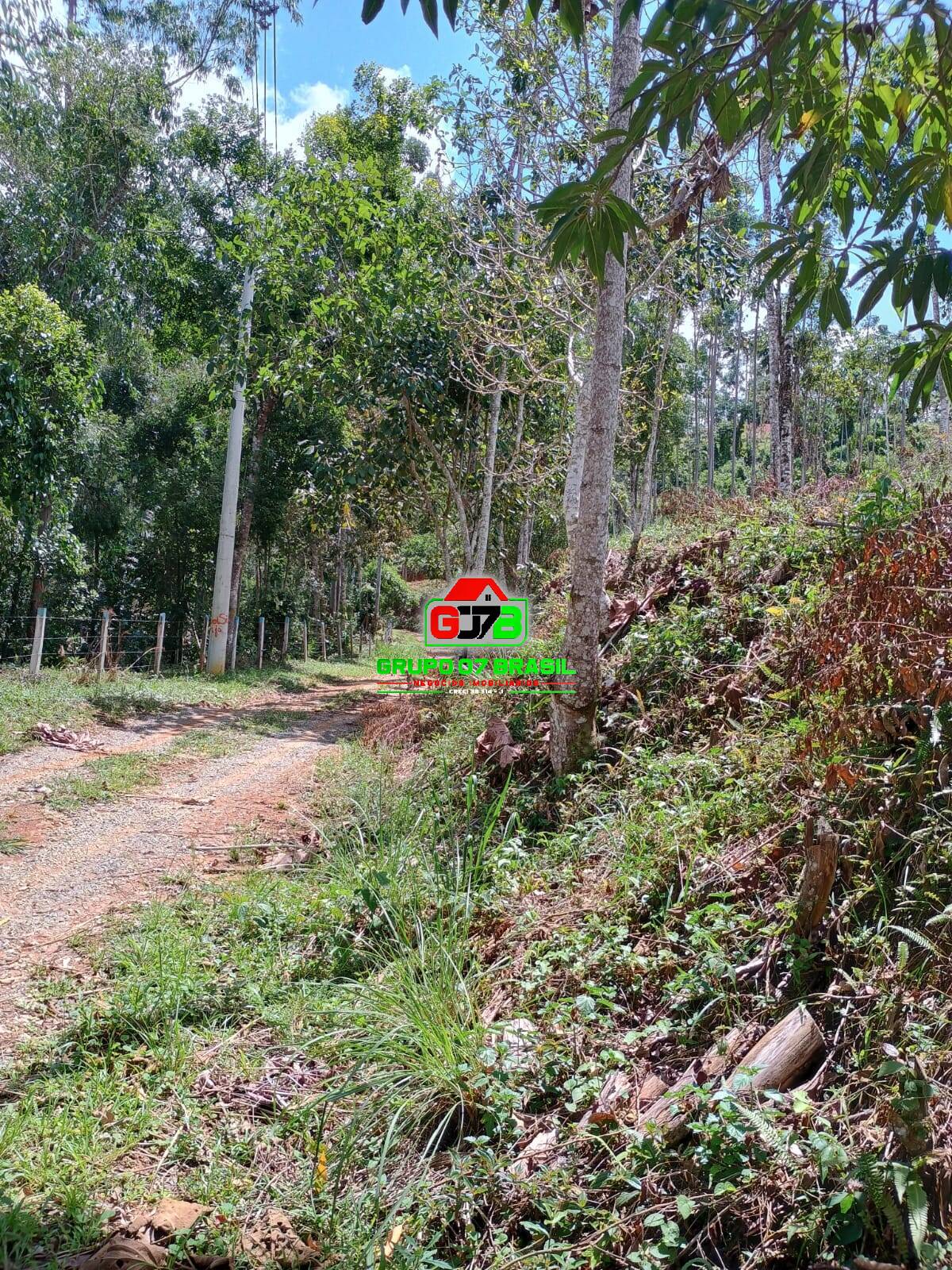 Terreno à venda, 24000m² - Foto 7