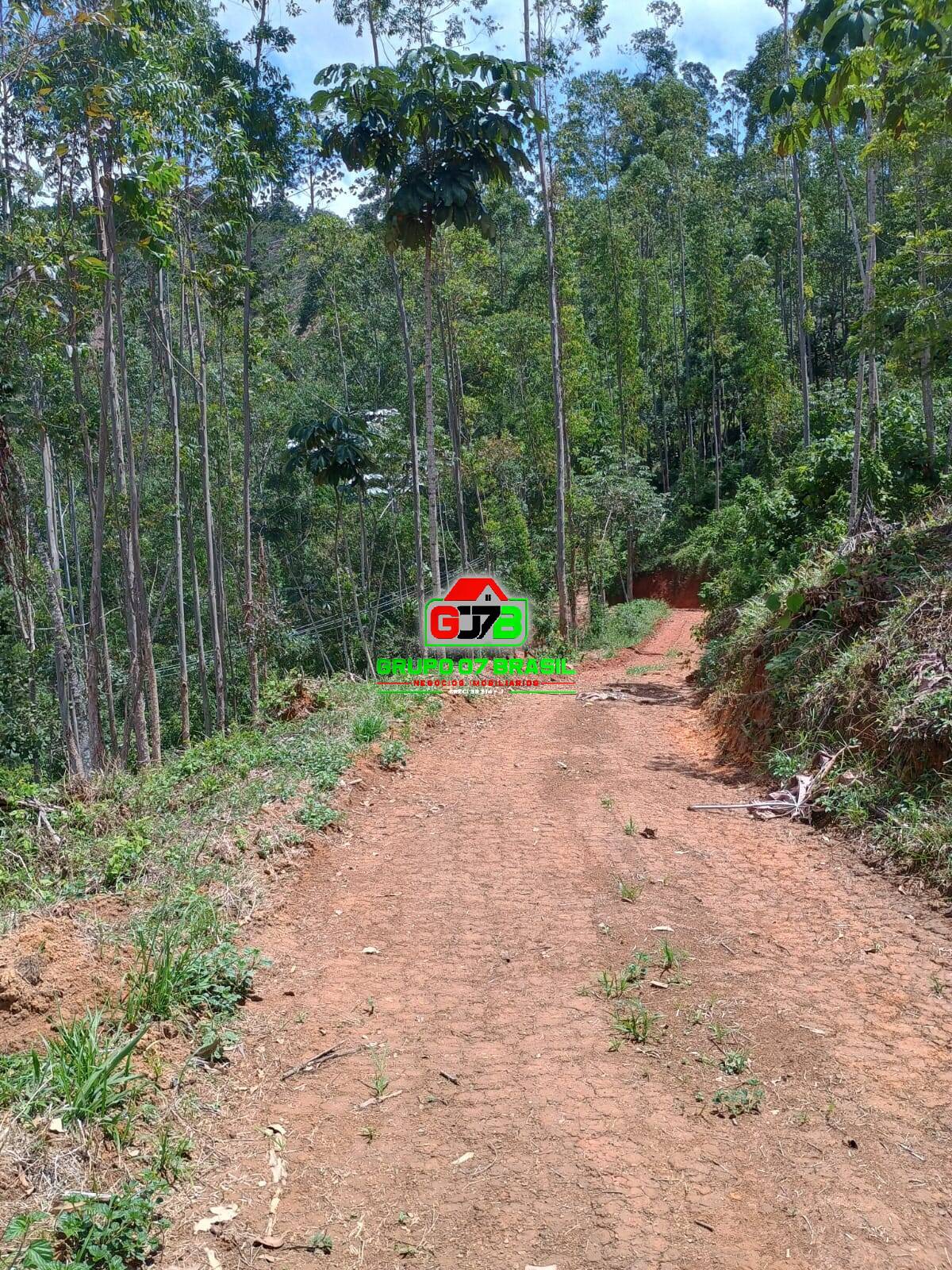Terreno à venda, 24000m² - Foto 9