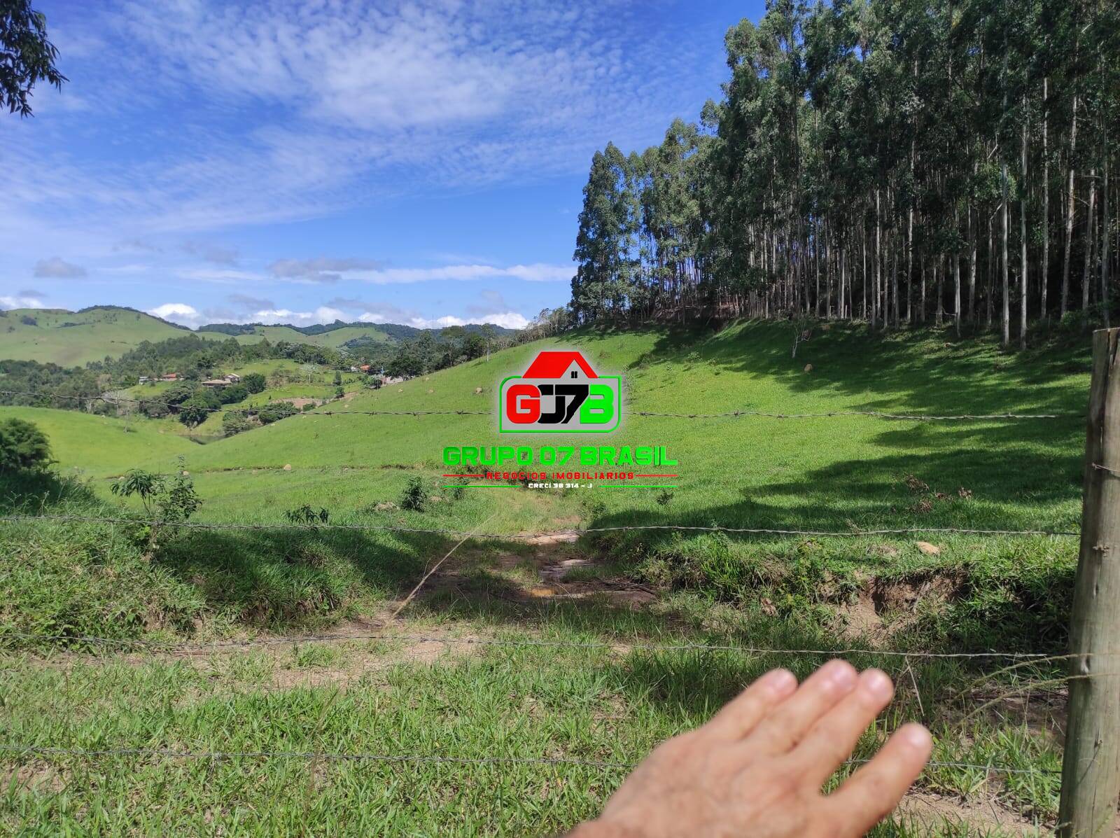Terreno, 2 hectares - Foto 6