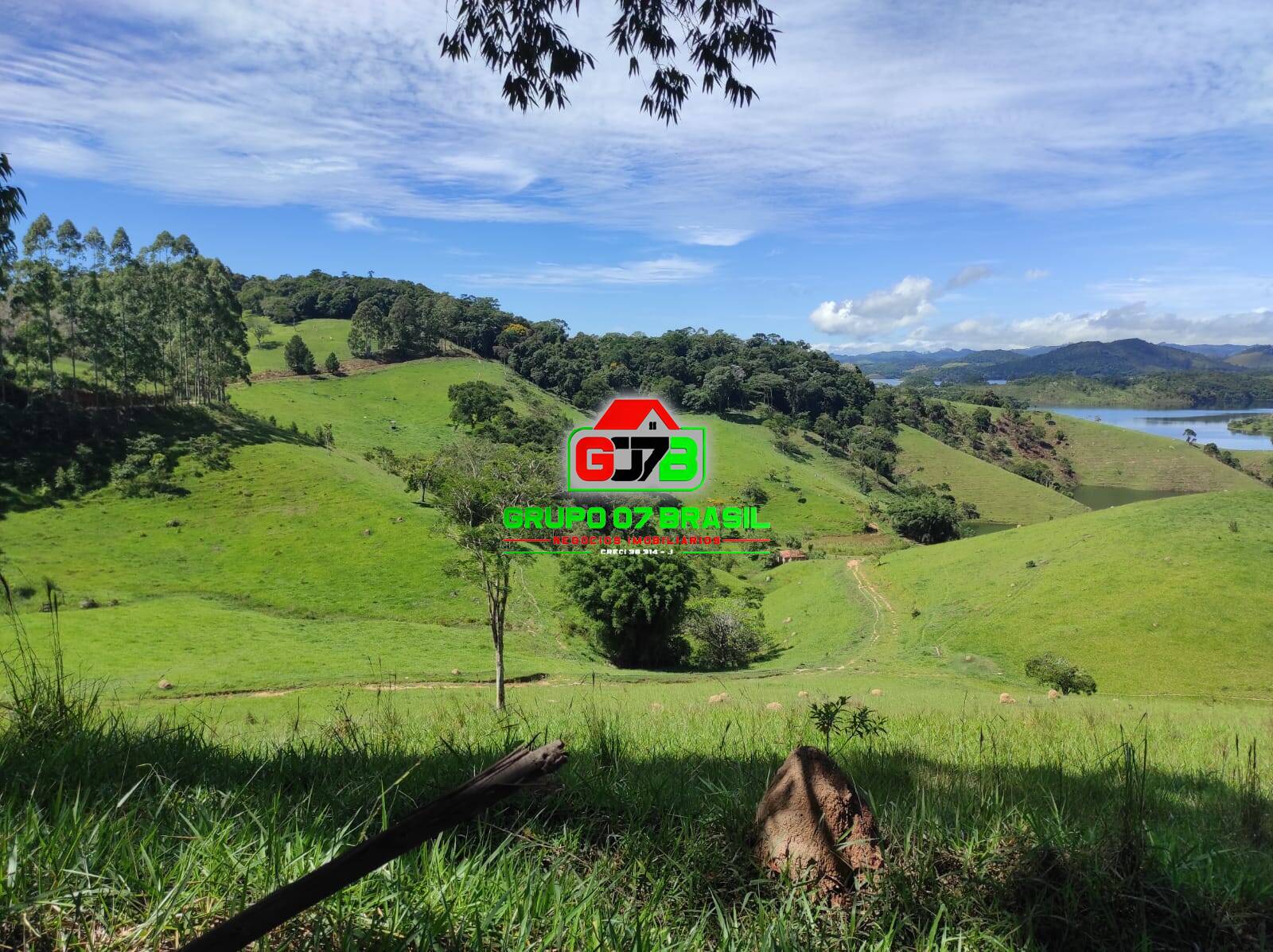 Terreno, 2 hectares - Foto 7