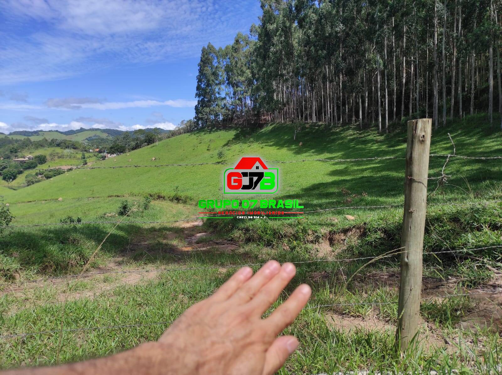 Terreno, 2 hectares - Foto 13