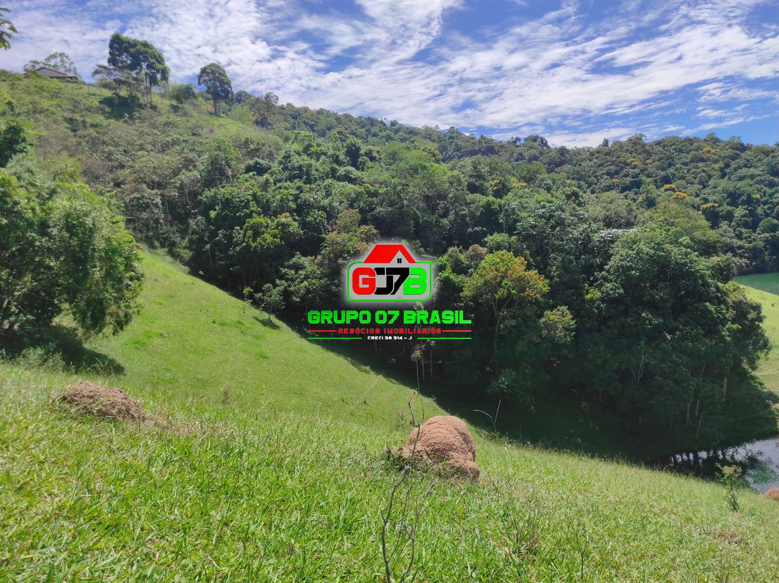 Terreno, 2 hectares - Foto 19