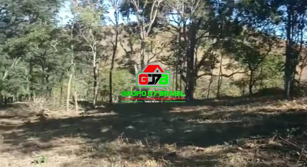 Terreno, 3 hectares - Foto 3