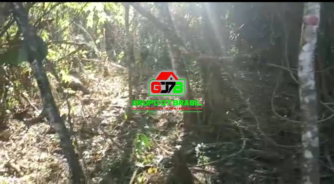 Terreno, 3 hectares - Foto 8