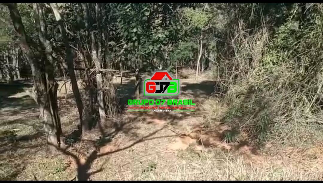 Terreno, 3 hectares - Foto 9