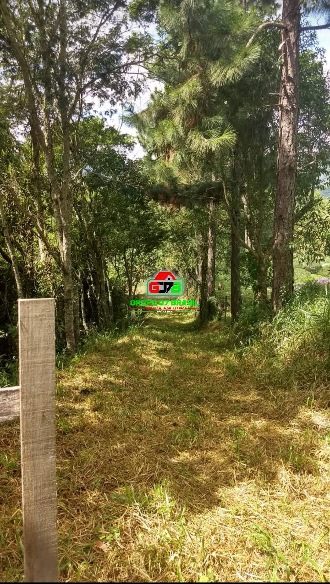 Terreno, 3 hectares - Foto 13