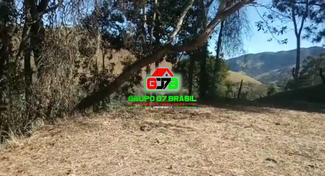 Terreno, 3 hectares - Foto 4