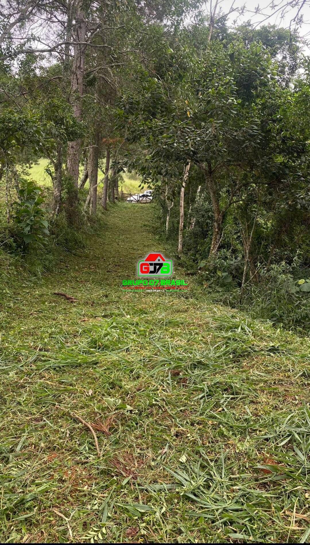 Terreno, 3 hectares - Foto 14