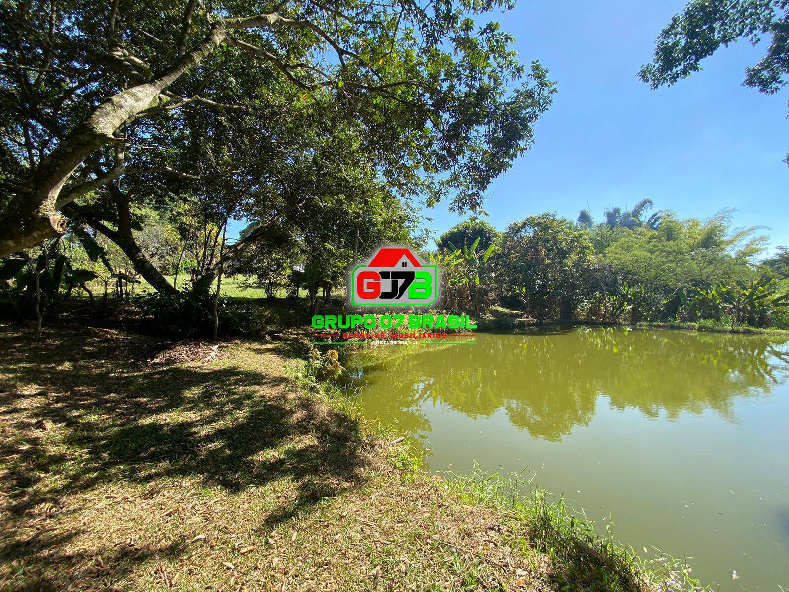 Chácara, 6 quartos, 6500 m² - Foto 2