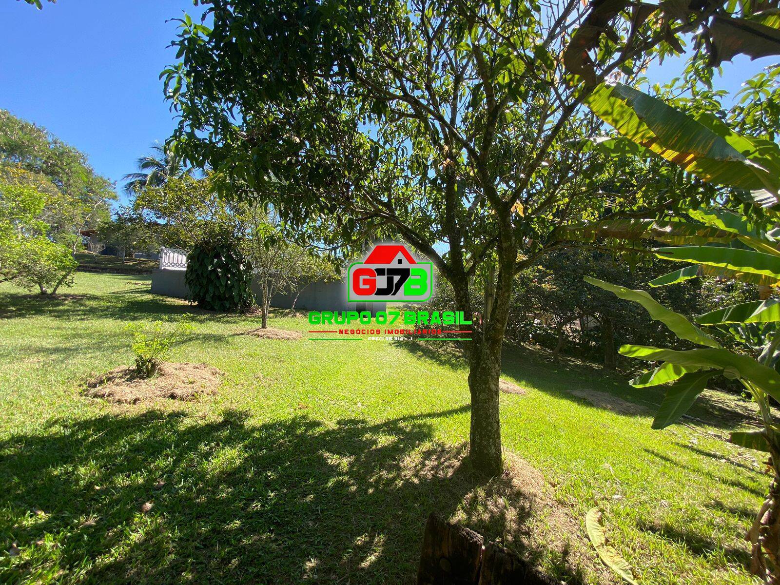 Chácara, 6 quartos, 6500 m² - Foto 3