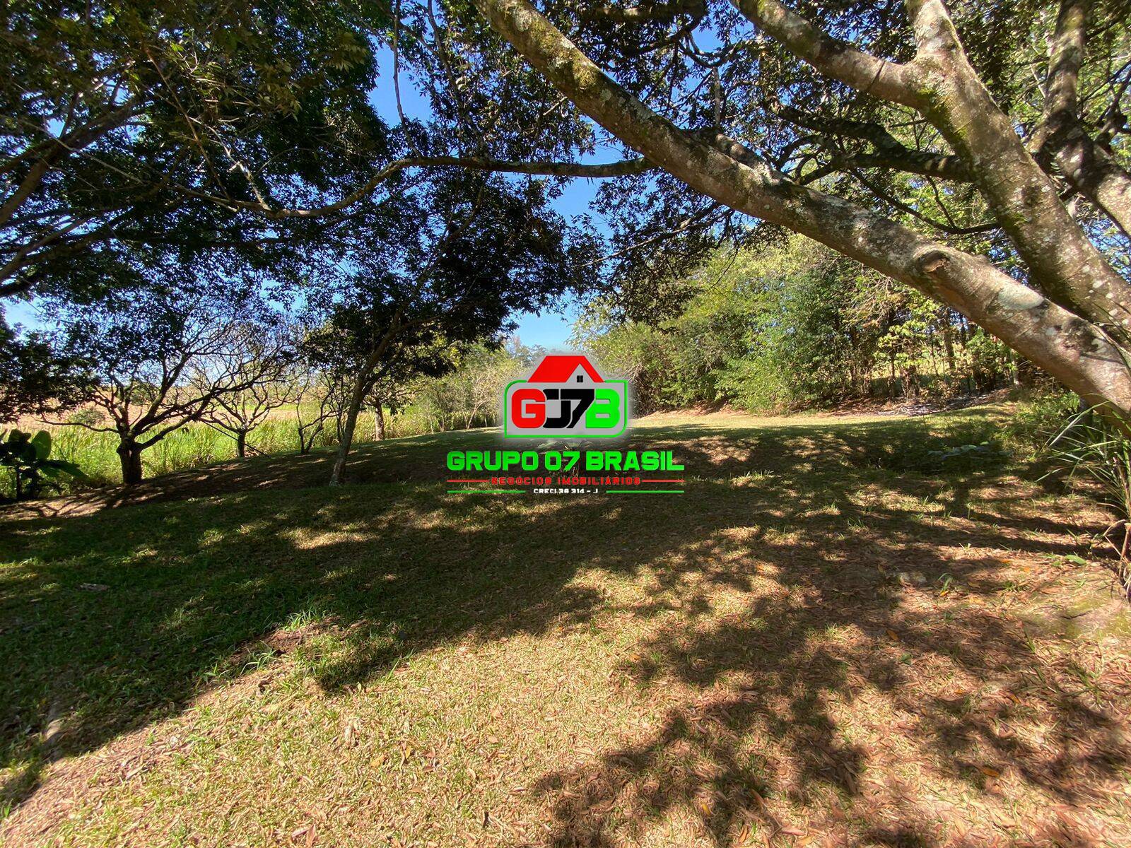 Chácara, 6 quartos, 6500 m² - Foto 4