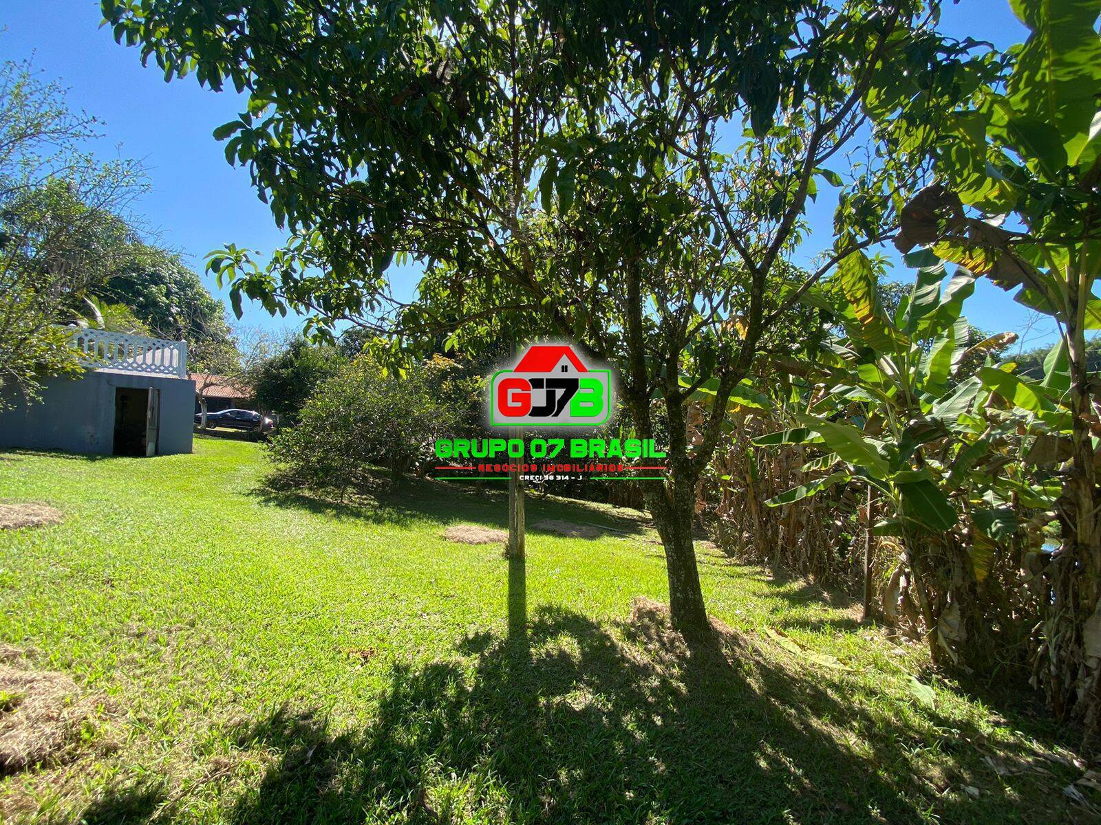 Chácara, 6 quartos, 6500 m² - Foto 5