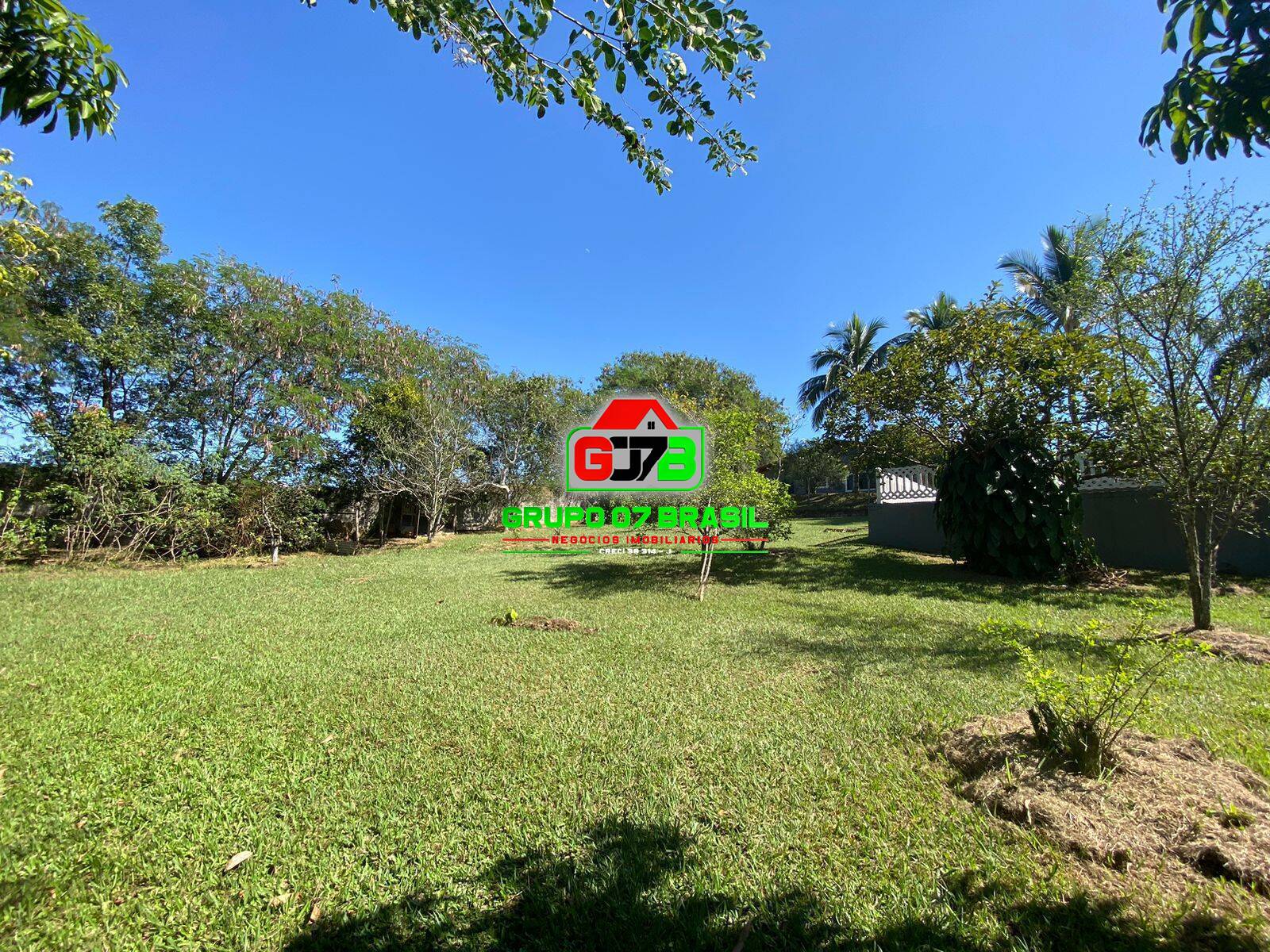 Chácara, 6 quartos, 6500 m² - Foto 6