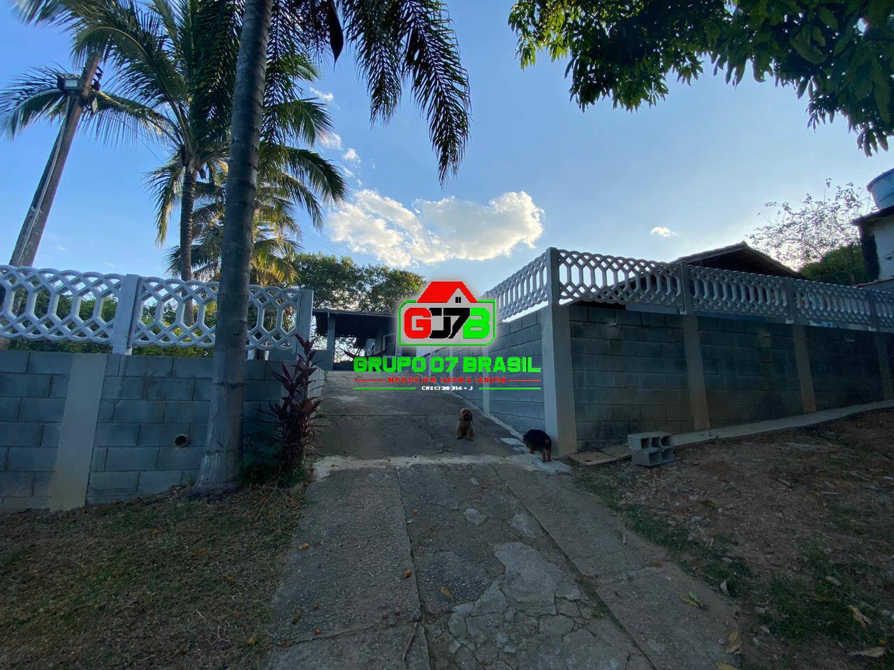 Chácara, 6 quartos, 6500 m² - Foto 22