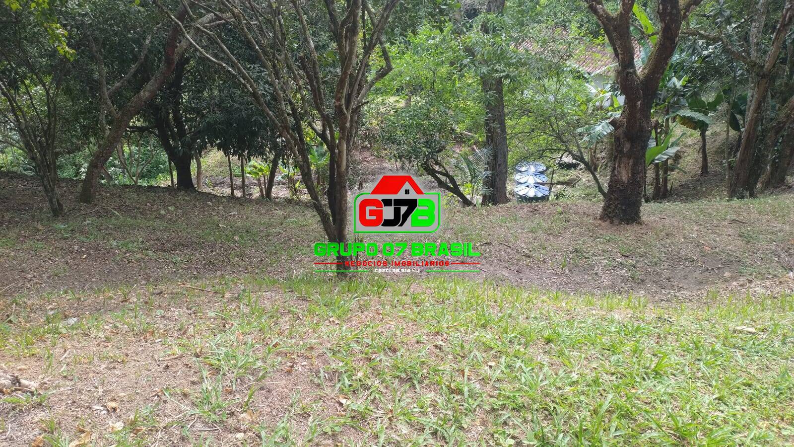 Chácara à venda com 2 quartos, 9100m² - Foto 11