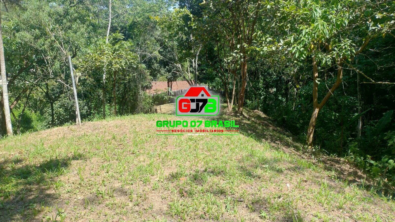 Chácara à venda com 2 quartos, 9100m² - Foto 12