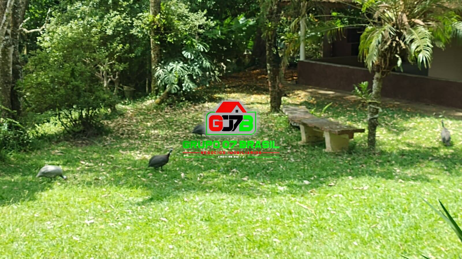 Chácara à venda com 2 quartos, 9100m² - Foto 14