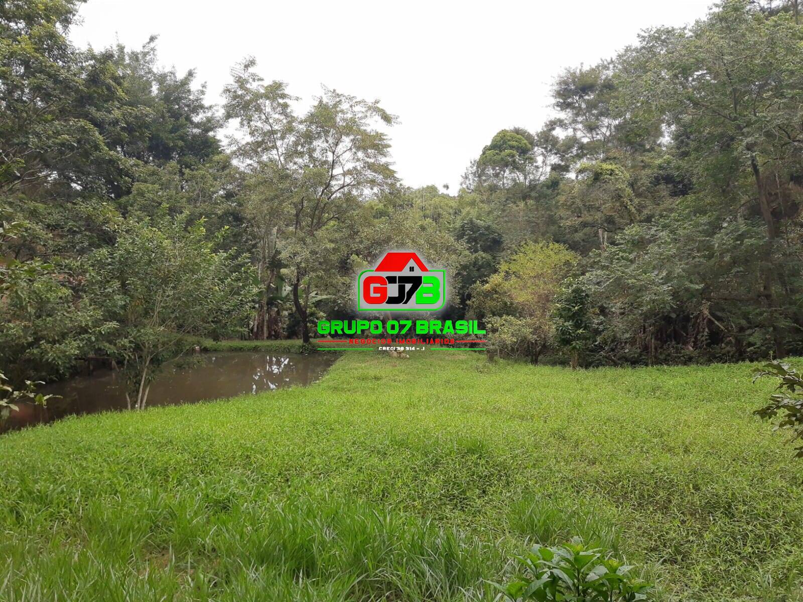 Chácara à venda com 2 quartos, 9100m² - Foto 19