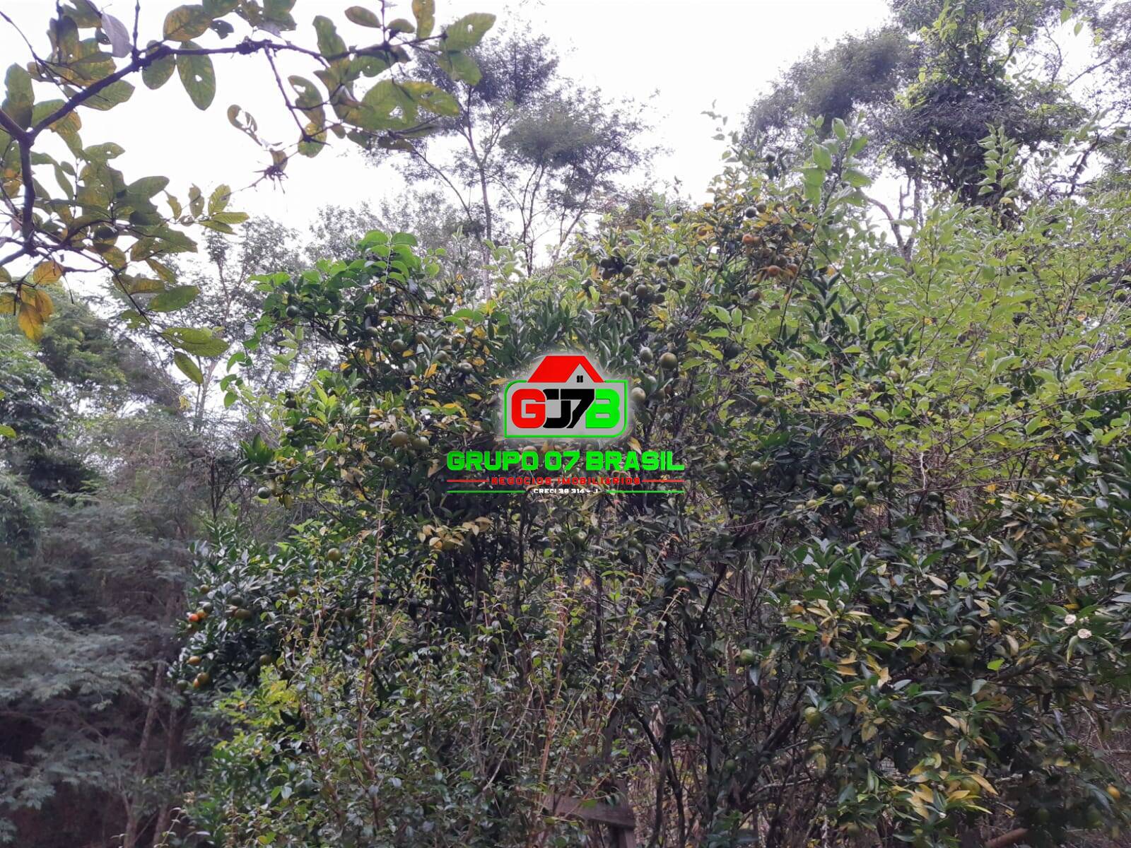 Chácara à venda com 2 quartos, 9100m² - Foto 22