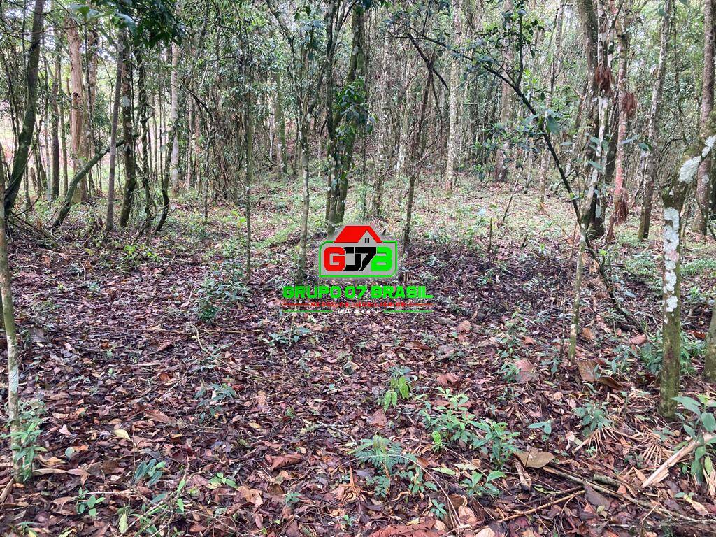Terreno, 13 m² - Foto 5