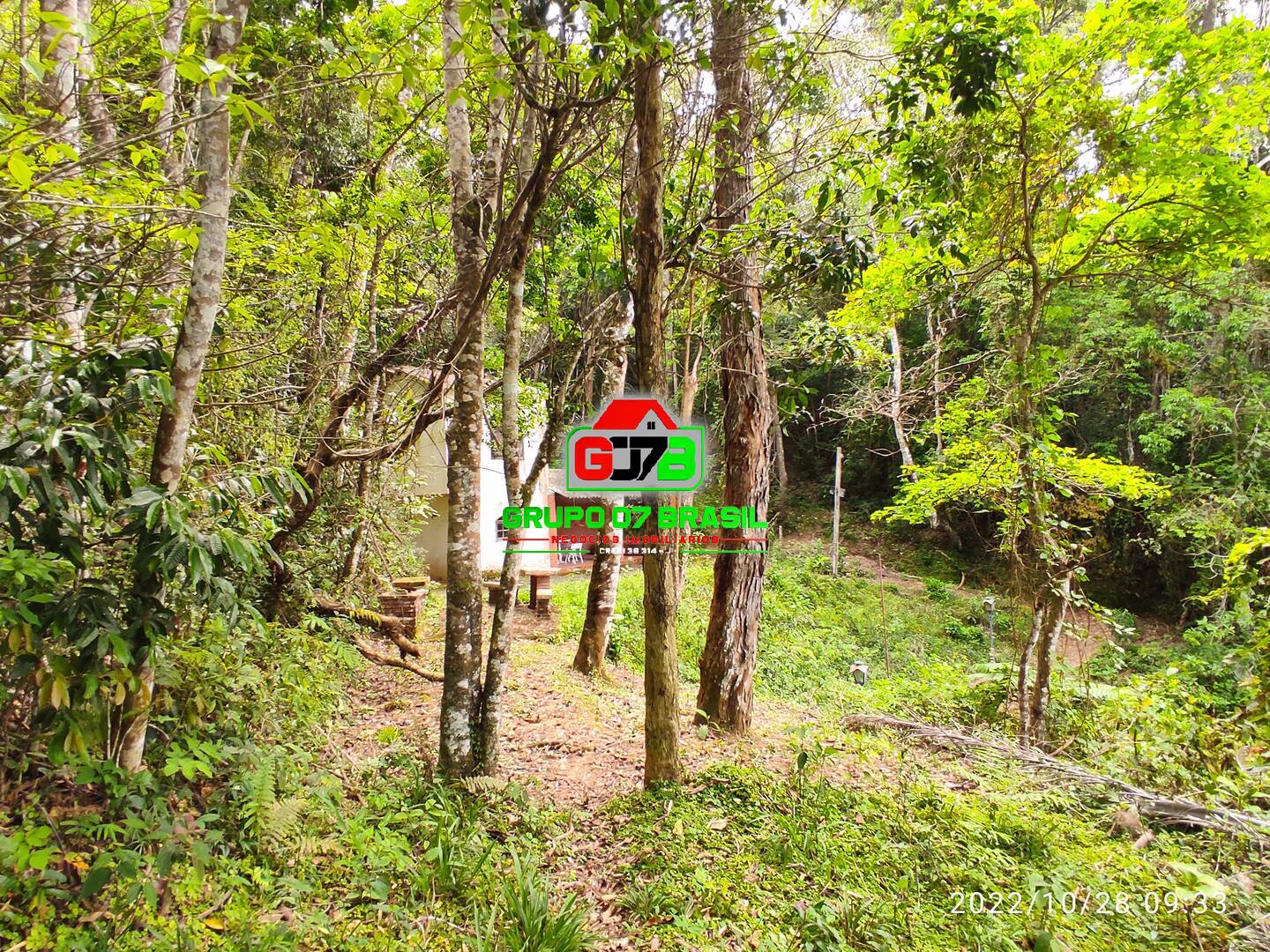 Terreno, 2 hectares - Foto 5