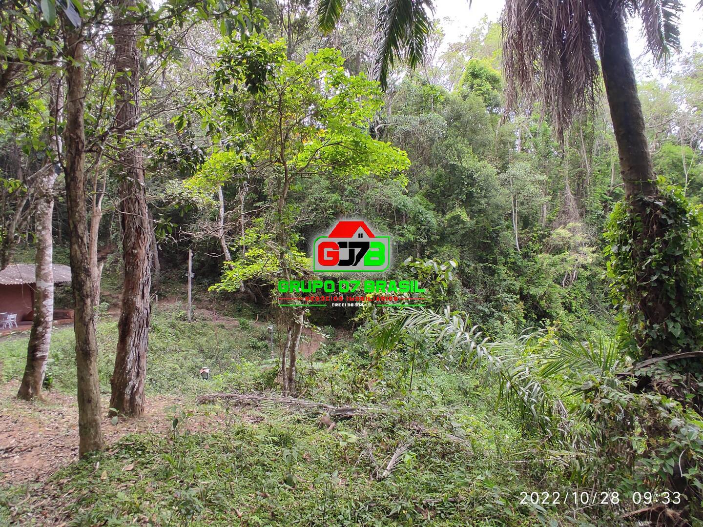 Terreno, 2 hectares - Foto 6