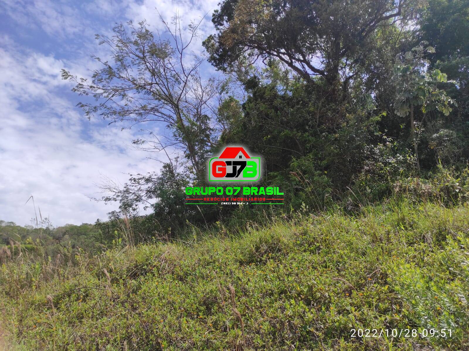 Terreno, 2 hectares - Foto 13