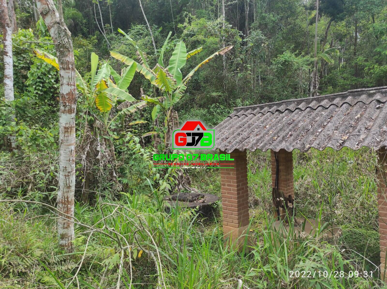 Terreno, 2 hectares - Foto 16