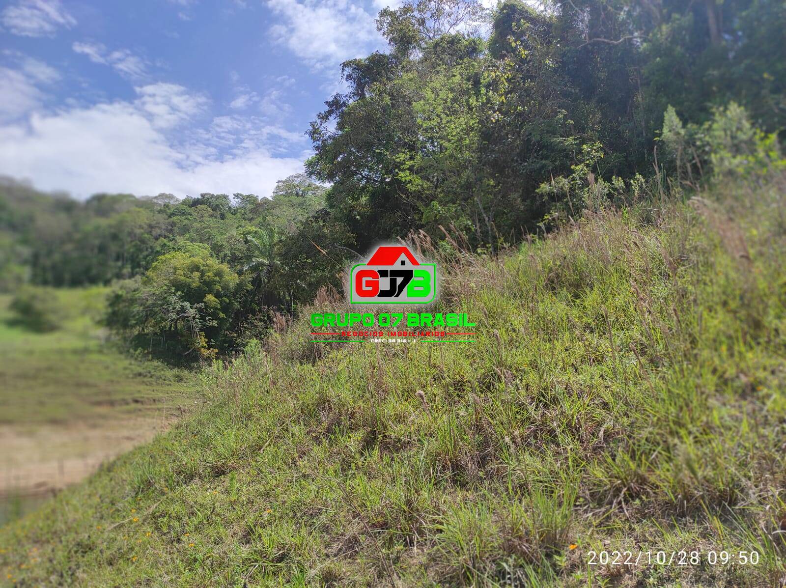 Terreno, 2 hectares - Foto 15