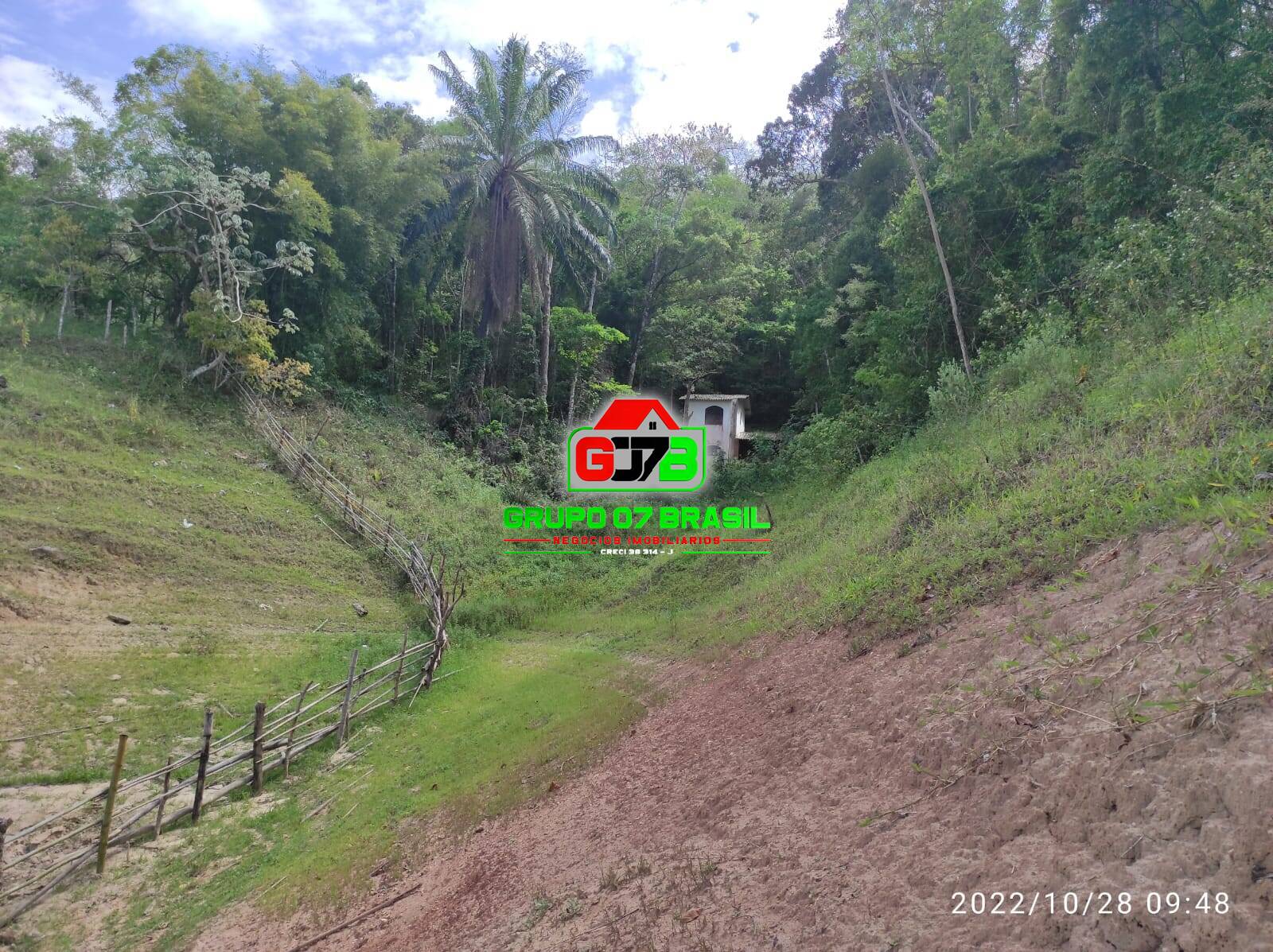 Terreno, 2 hectares - Foto 14