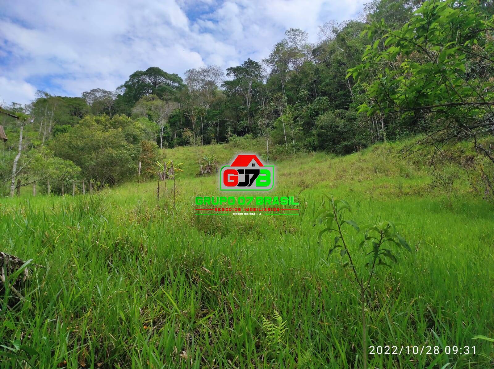 Terreno, 2 hectares - Foto 18
