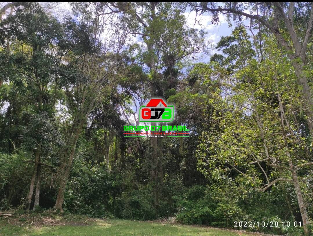 Terreno, 2 hectares - Foto 29