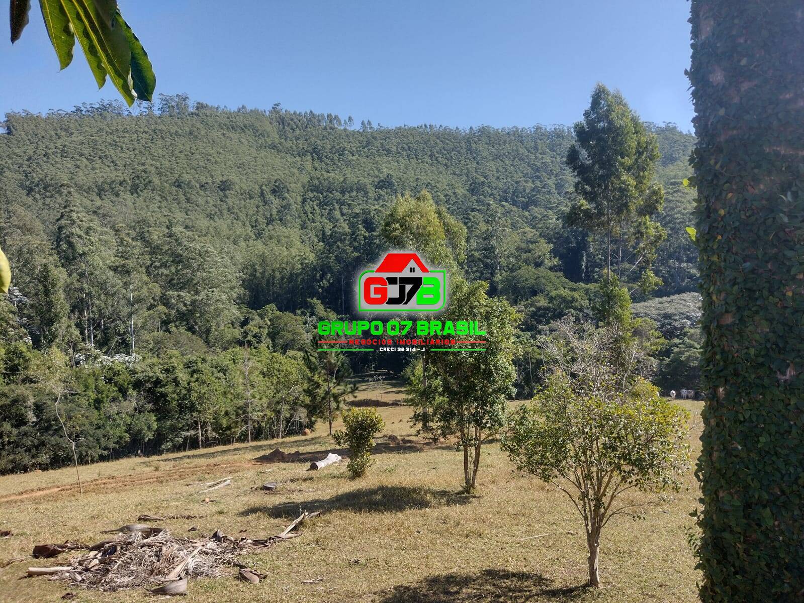 Fazenda à venda com 5 quartos, 200m² - Foto 13