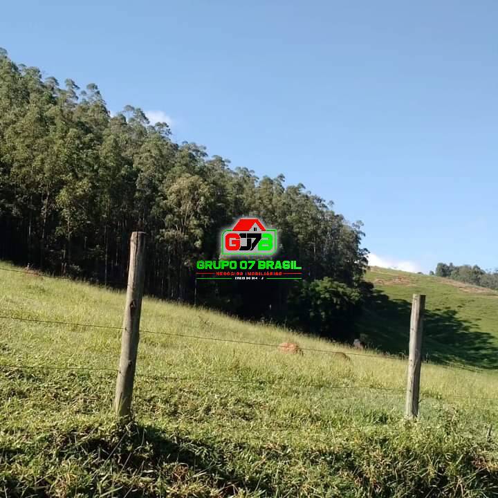 Fazenda à venda com 5 quartos, 200m² - Foto 29