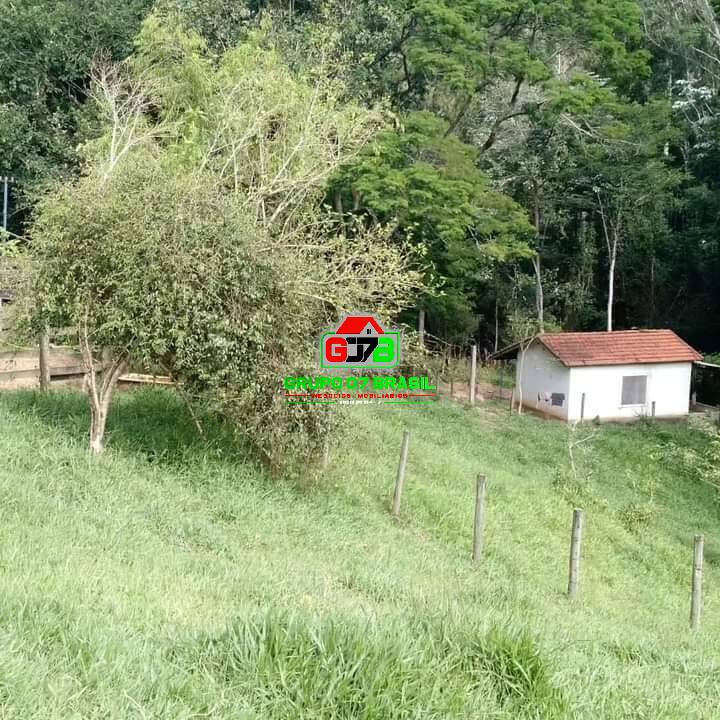 Fazenda à venda com 5 quartos, 200m² - Foto 28