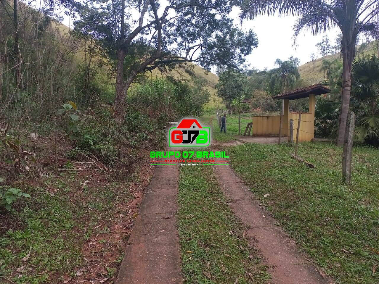 Sítio, 3 quartos, 7000 m² - Foto 3