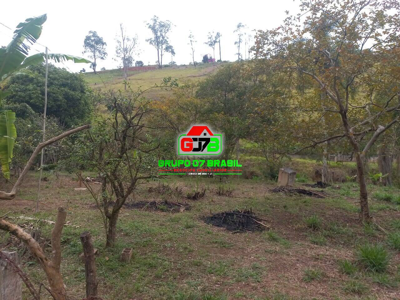 Sítio, 3 quartos, 7000 m² - Foto 5