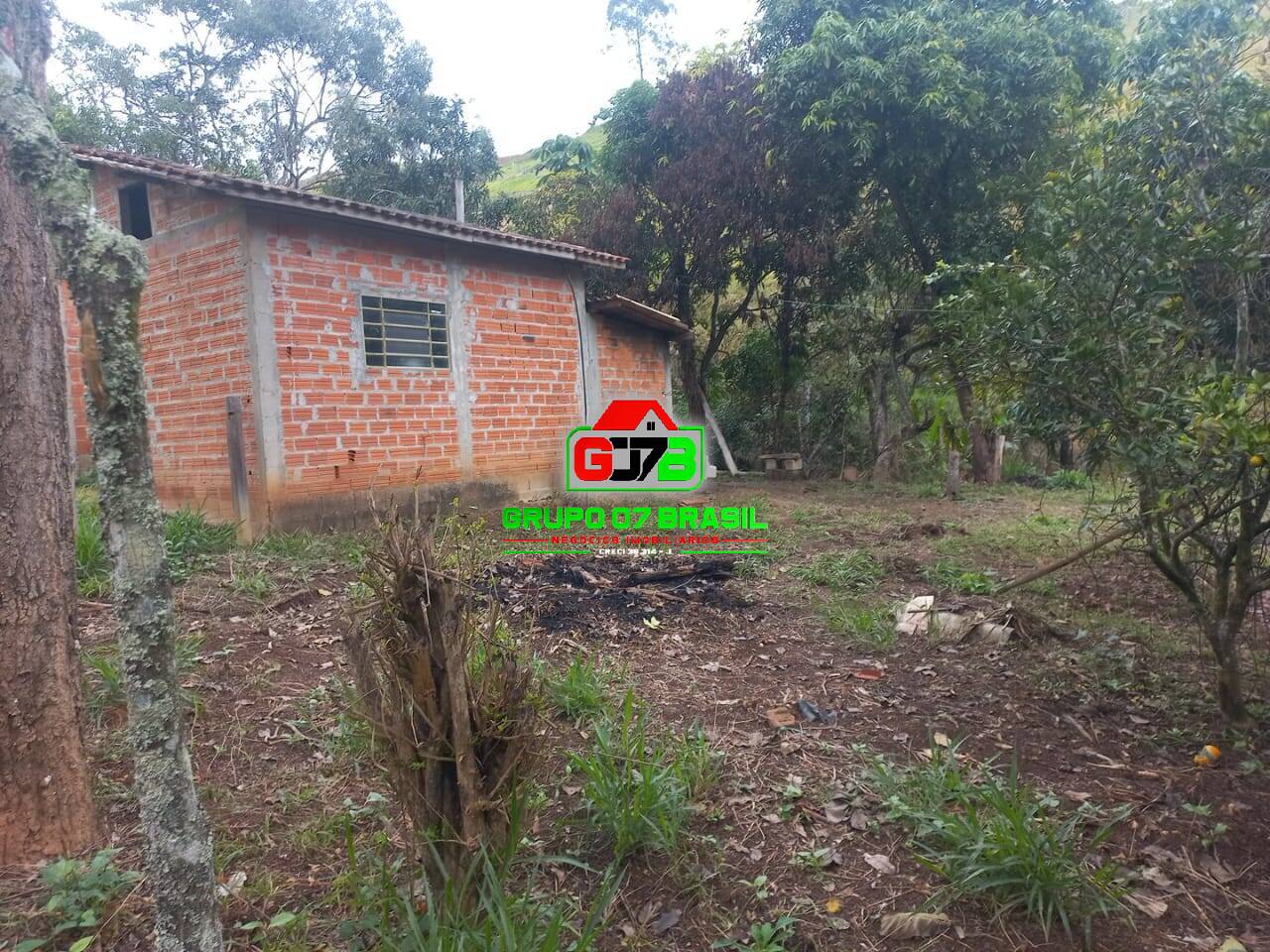 Sítio, 3 quartos, 7000 m² - Foto 8