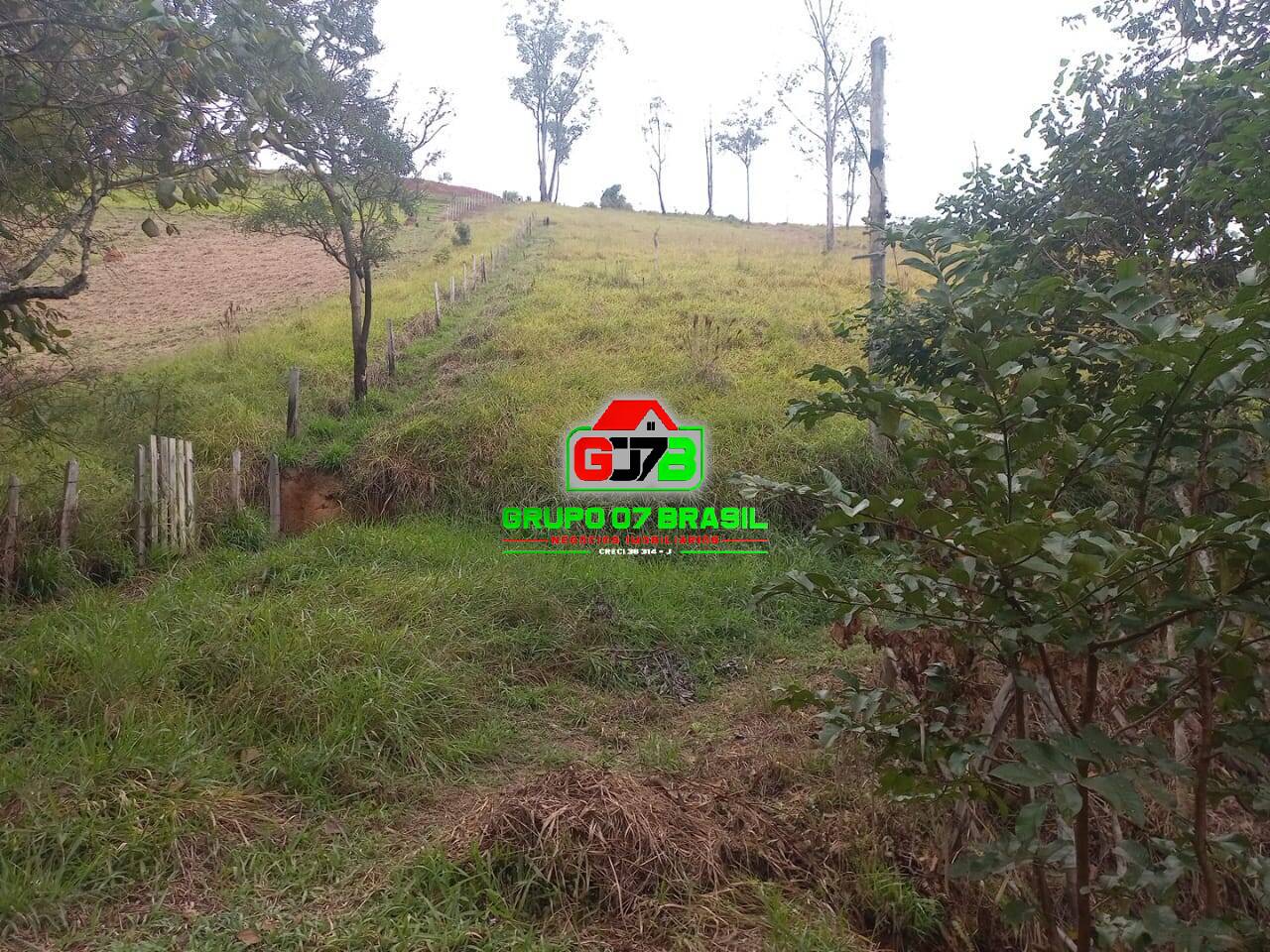 Sítio, 3 quartos, 7000 m² - Foto 9