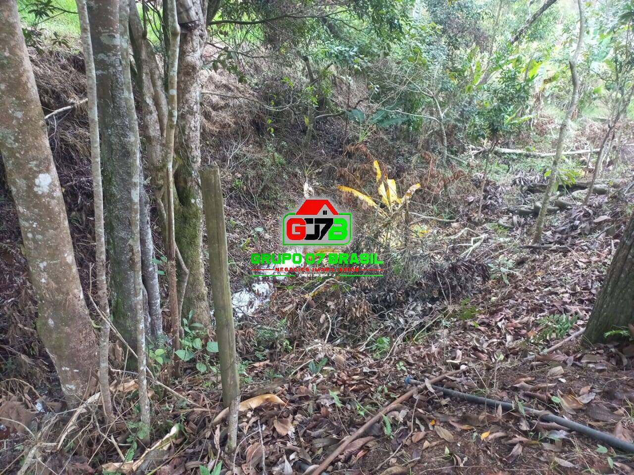 Sítio, 3 quartos, 7000 m² - Foto 12