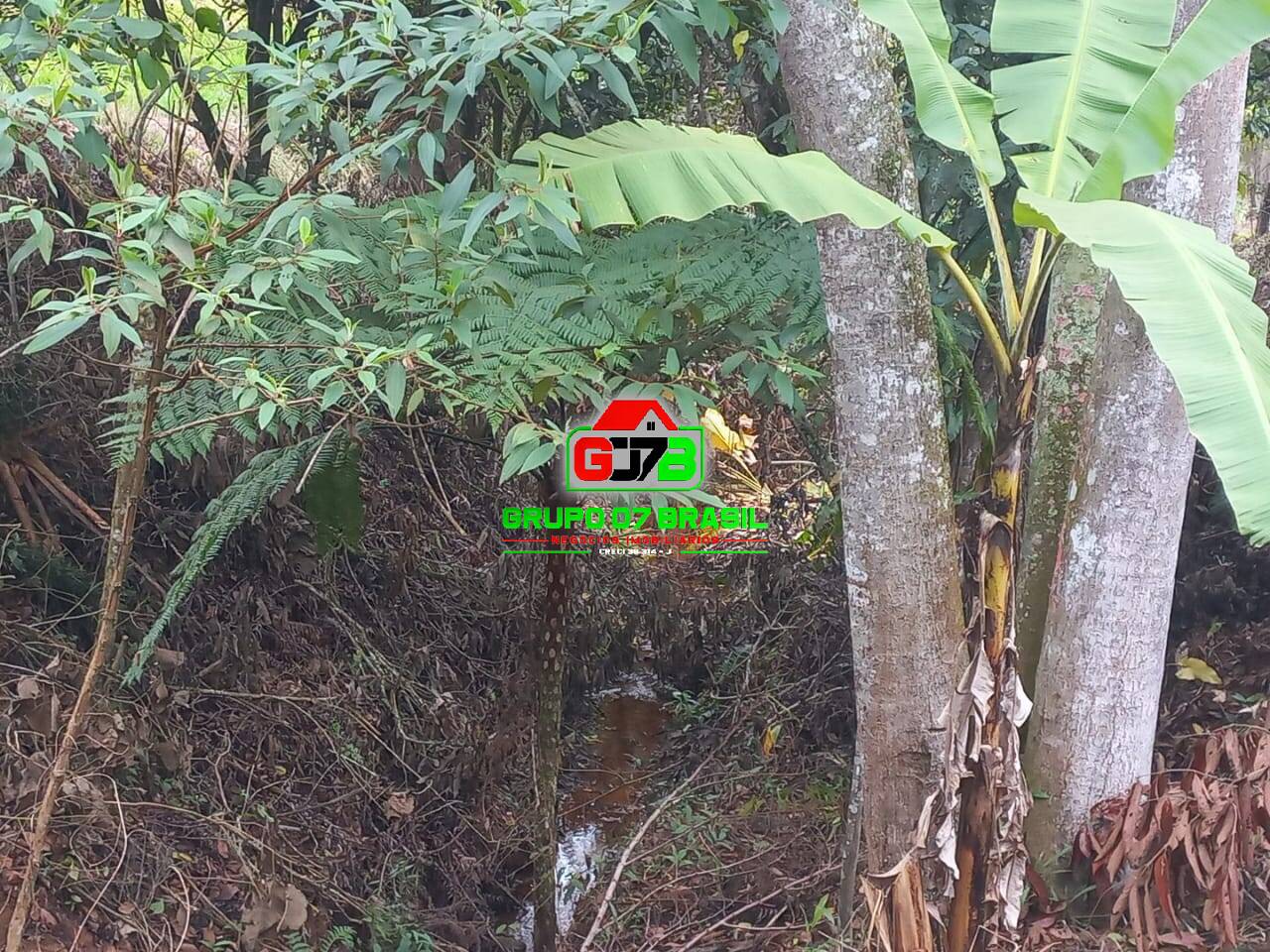 Sítio, 3 quartos, 7000 m² - Foto 13