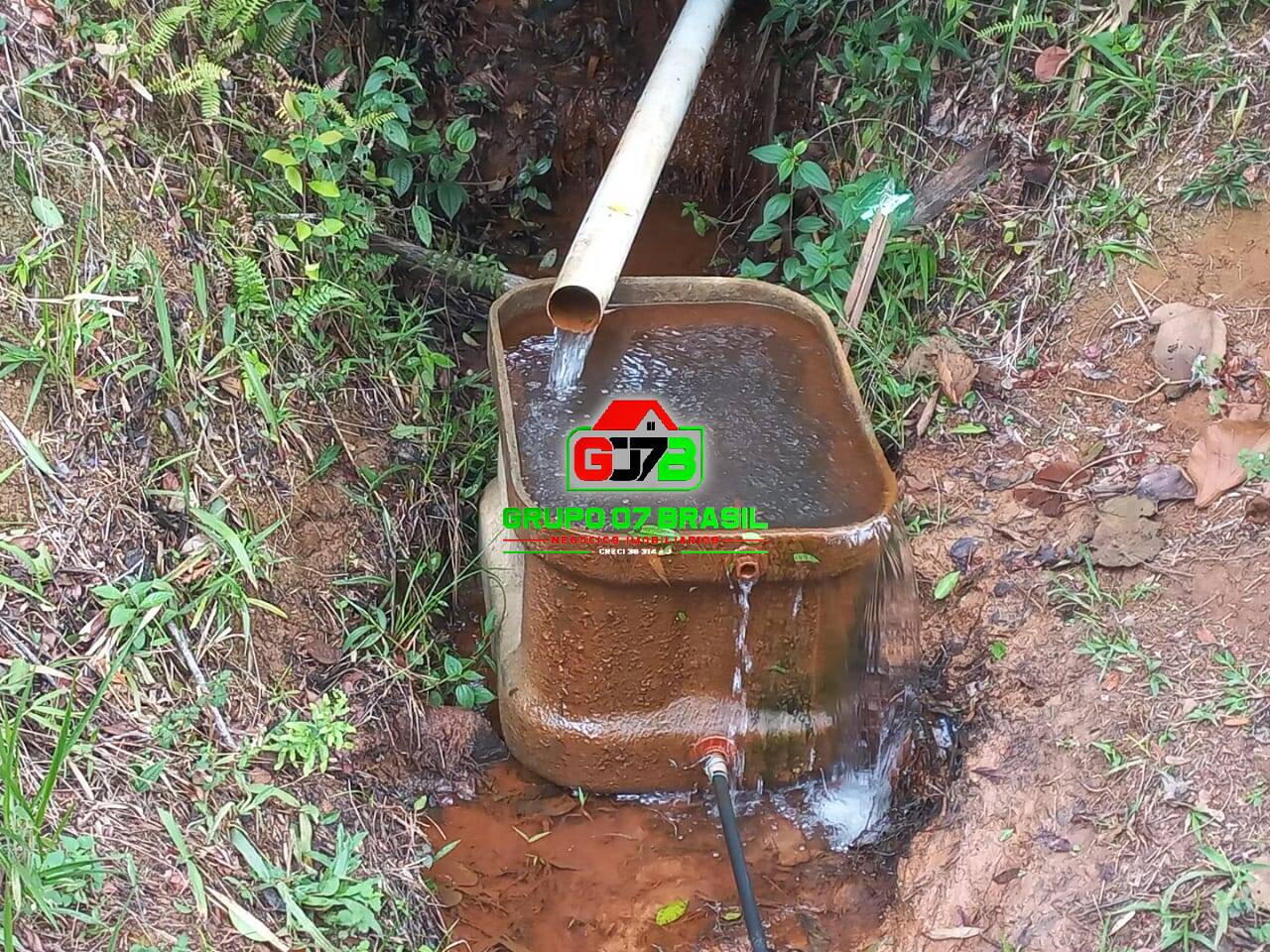 Sítio, 3 quartos, 7000 m² - Foto 2