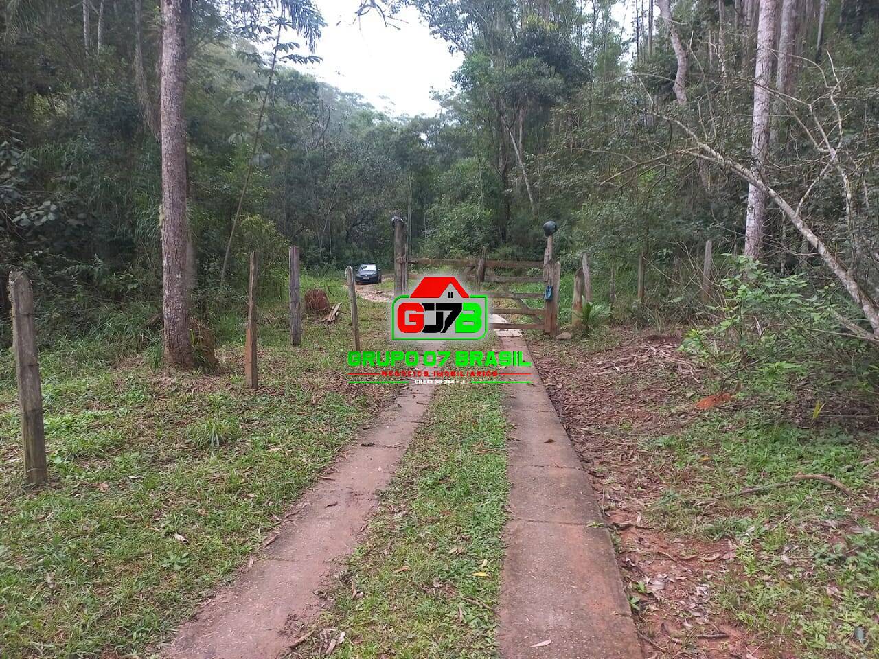 Sítio, 3 quartos, 7000 m² - Foto 1