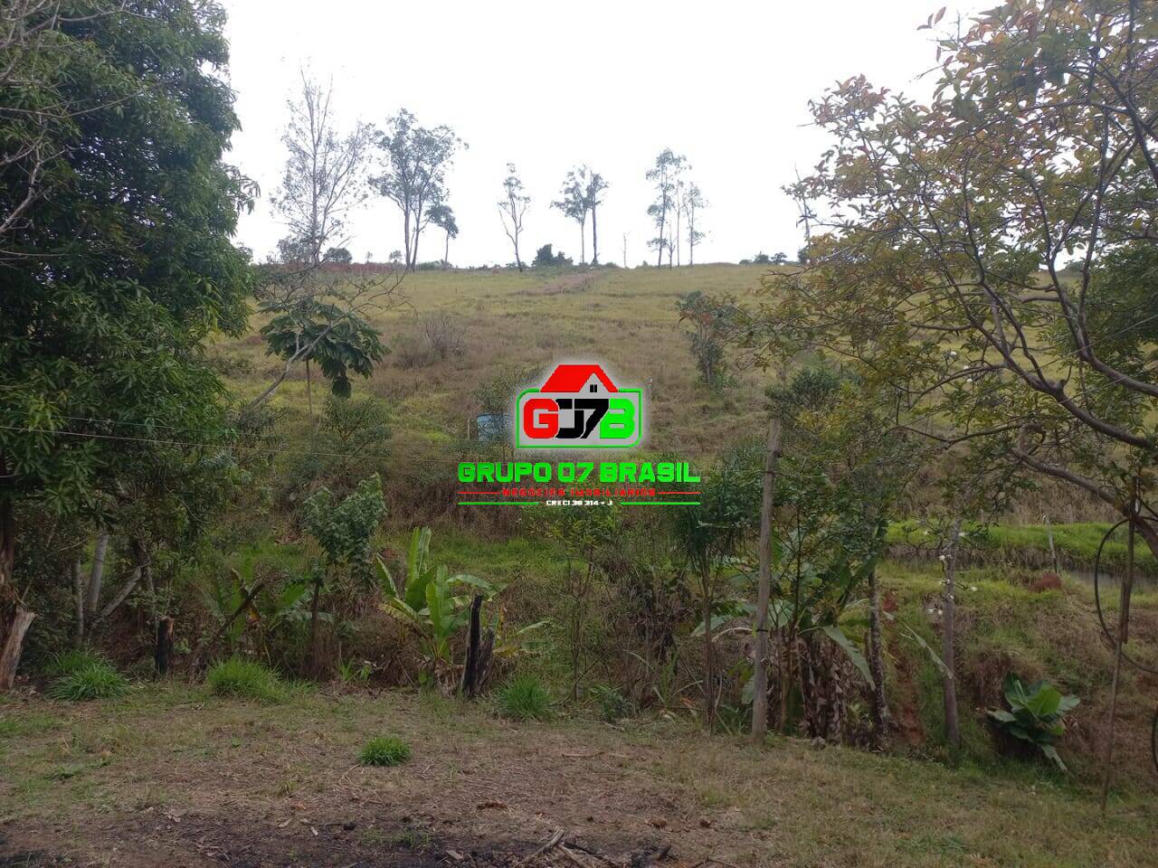 Sítio, 3 quartos, 7000 m² - Foto 23