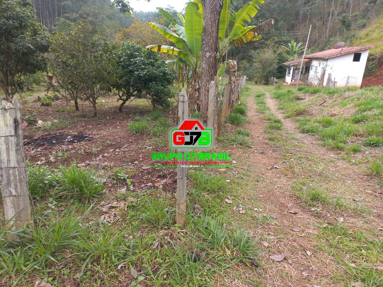 Sítio, 3 quartos, 7000 m² - Foto 25