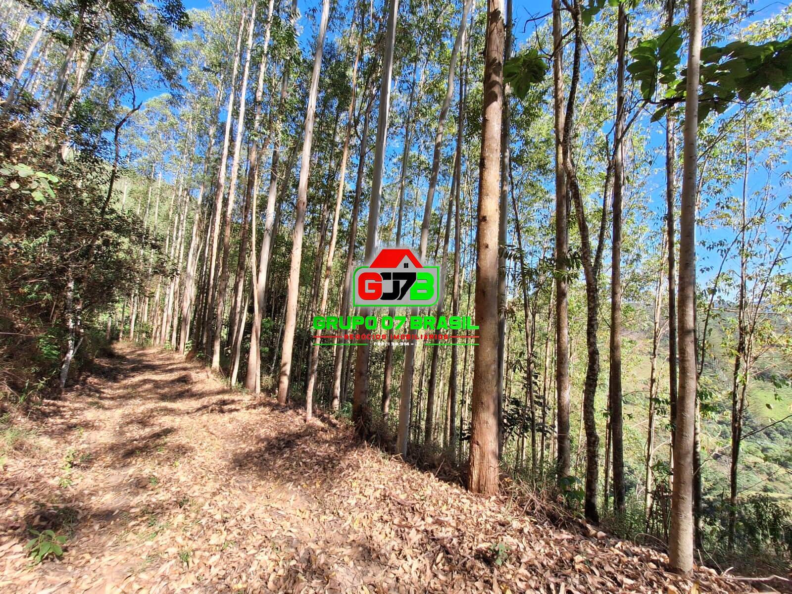 Terreno, 8 m² - Foto 13
