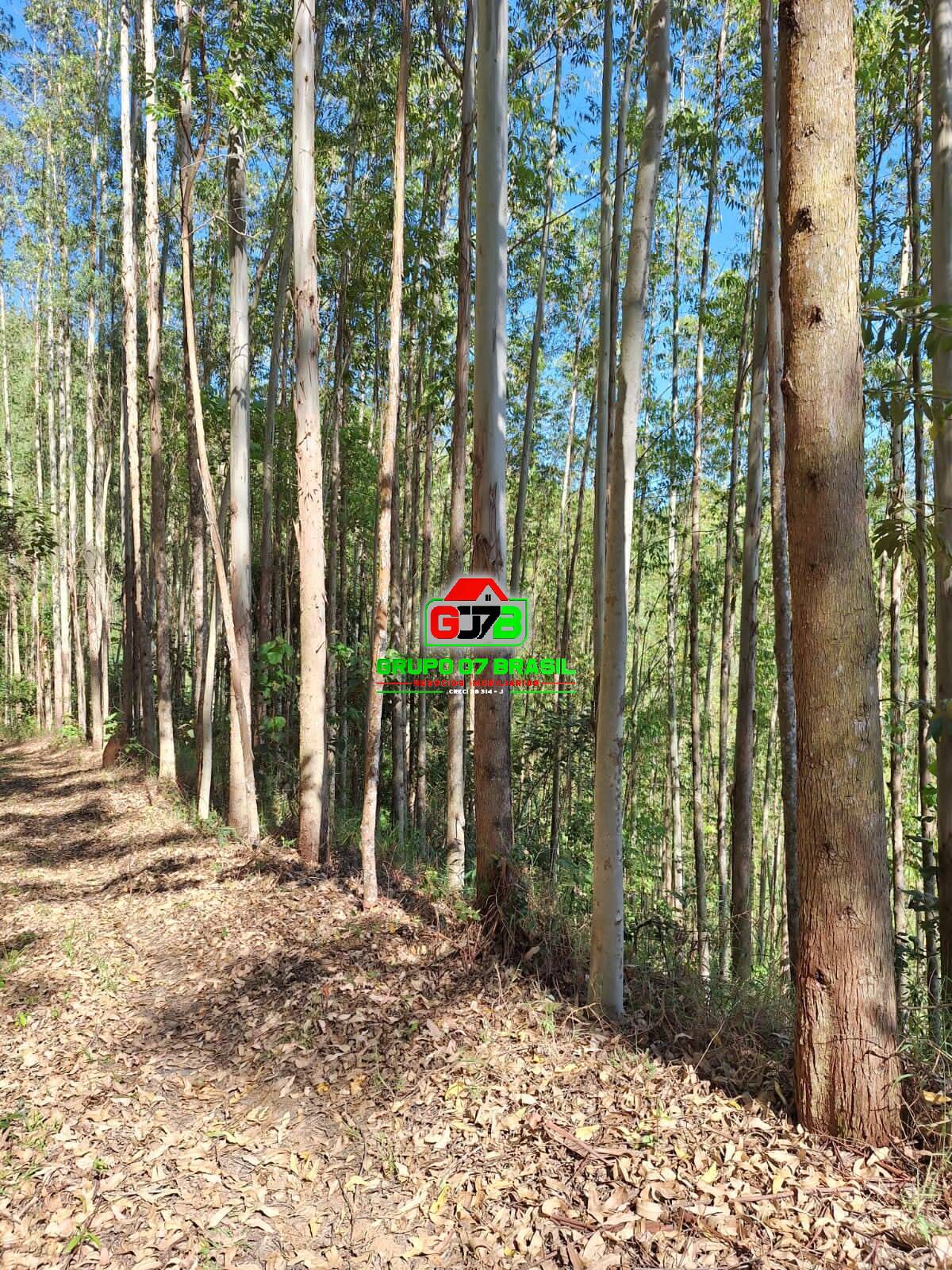 Terreno, 8 m² - Foto 14