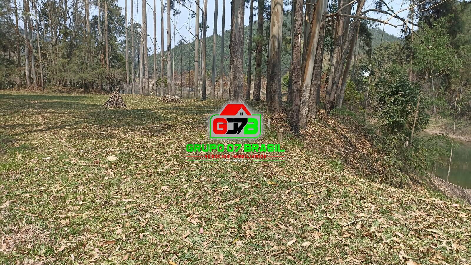 Sítio, 7 quartos, 2 hectares - Foto 3